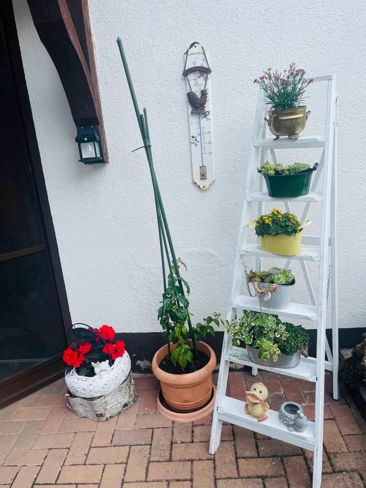 Holla Waldfee Apartamento Konigerode
