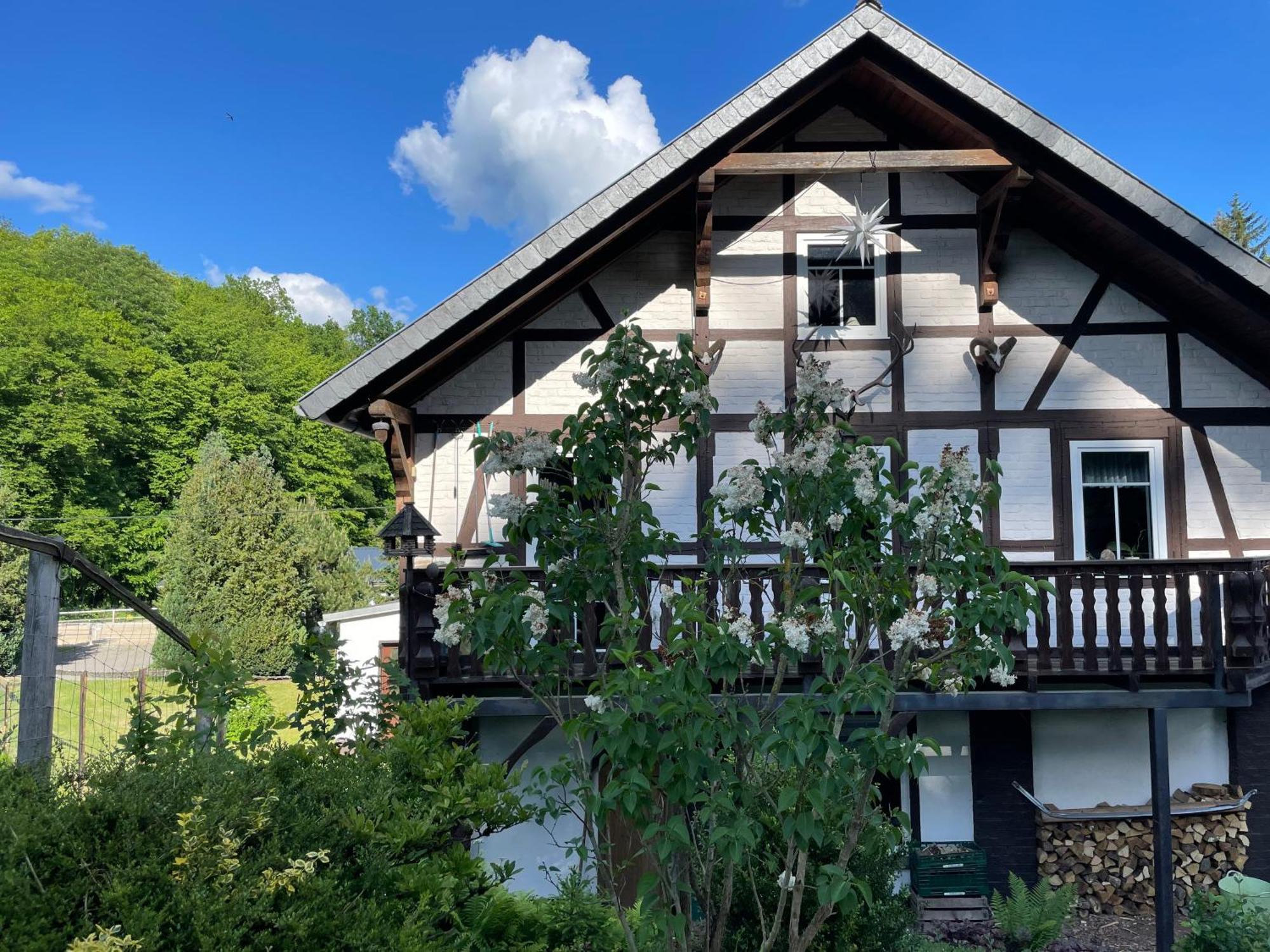Holla Waldfee * Konigerode
